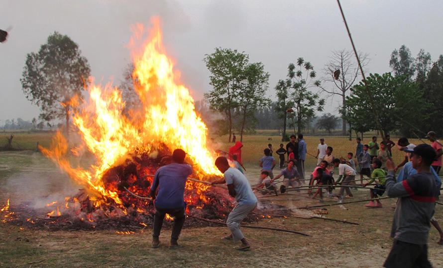 Festival celebration
